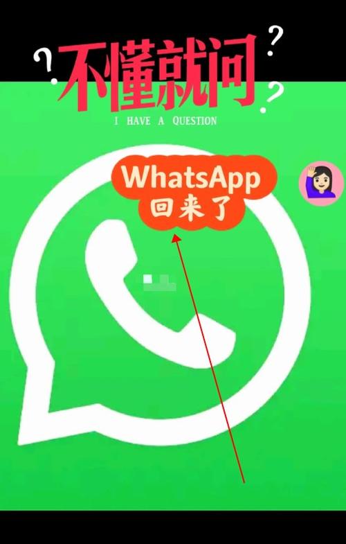 wats软件_whatsappapk官网
