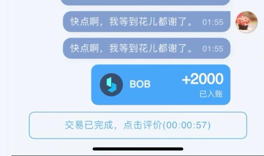 波币钱包创始人_什么是波币,如何获得