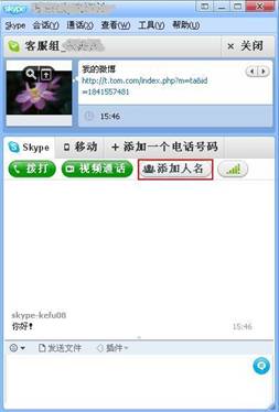 skype什么意思_skype什么意思中文翻译