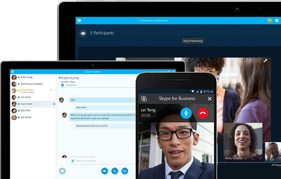 skype中文意思，skypephone的汉语意思