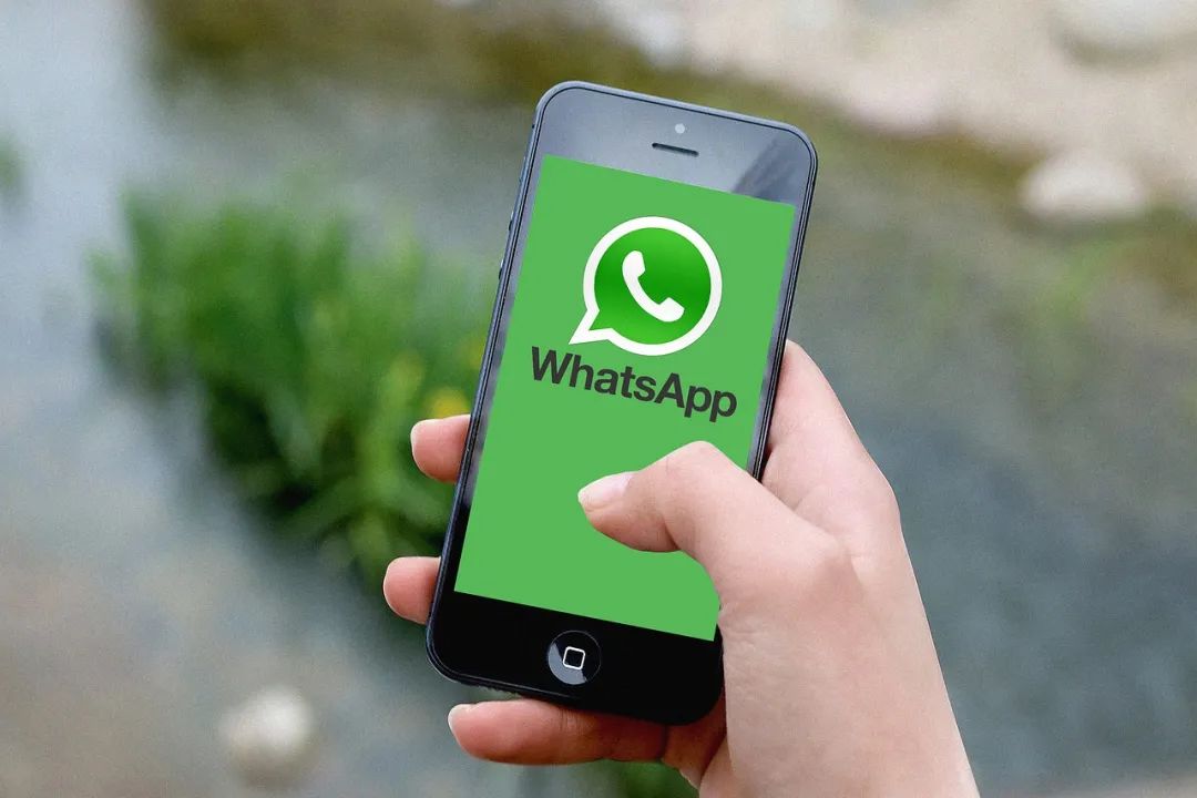 whatsapp安卓版怎么添加好友，手机版whatsapp如何添加联系人