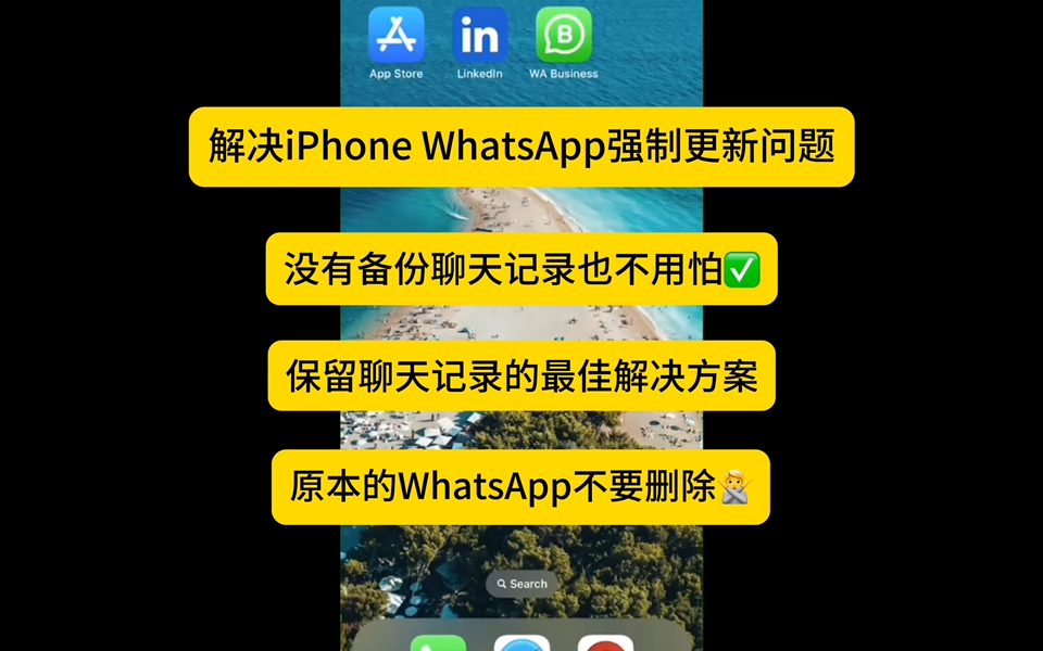 whatsapp中文版最新版，whatsapp中文版最新下载