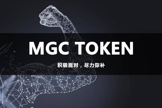 tokenlm官网，tokenrank官网