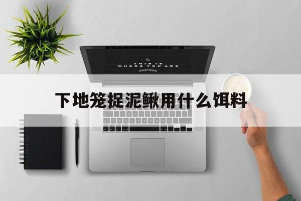 [下地笼捉泥鳅用什么饵料]下地笼捉泥鳅用什么饵料最好