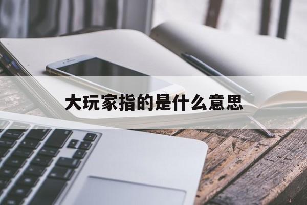 [大玩家指的是什么意思]大玩家是哪个公司的旗下