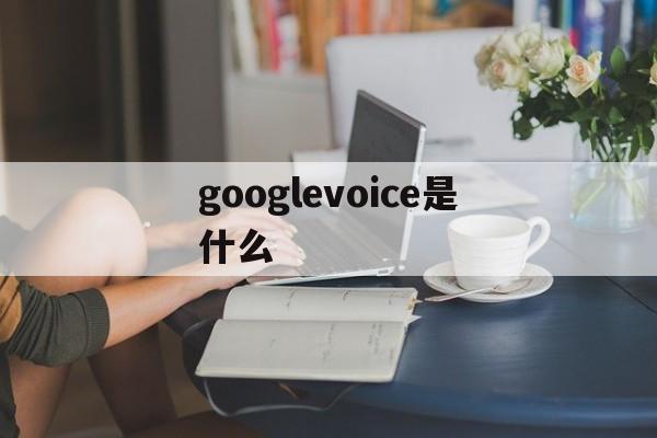 googlevoice是什么_googlevoice是什么官网版下载