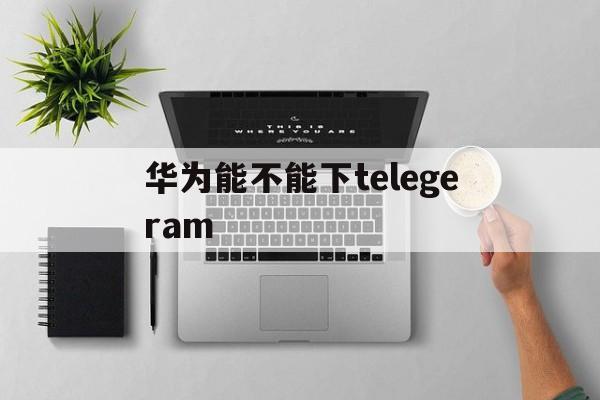 华为能不能下telegeram_华为能不能下telegeram官网版下载