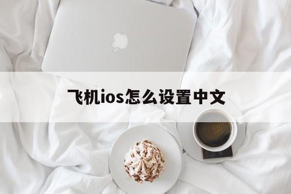 飞机ios怎么设置中文_飞机ios怎么设置中文官网版下载