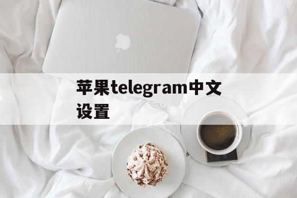 苹果telegram中文设置_苹果telegram中文设置官网版下载