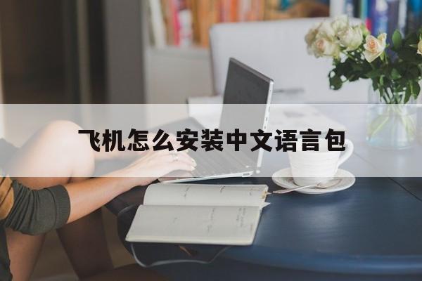 飞机怎么安装中文语言包_飞机怎么安装中文语言包官网版下载