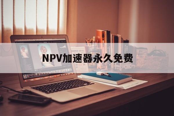 NPV加速器永久免费_NPV加速器永久免费官网版下载