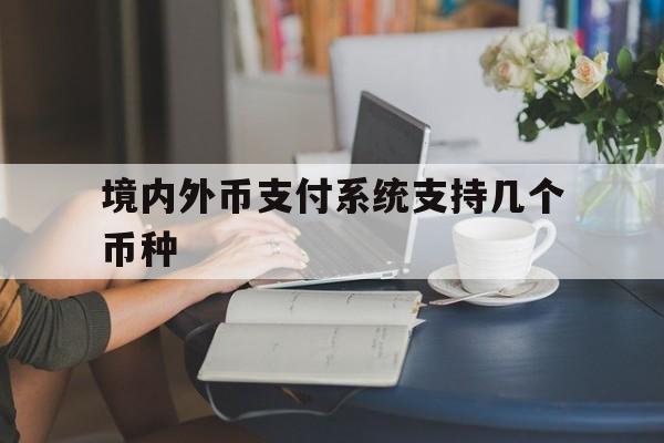 境内外币支付系统支持几个币种_境内外币支付系统支持几个币种官网版下载