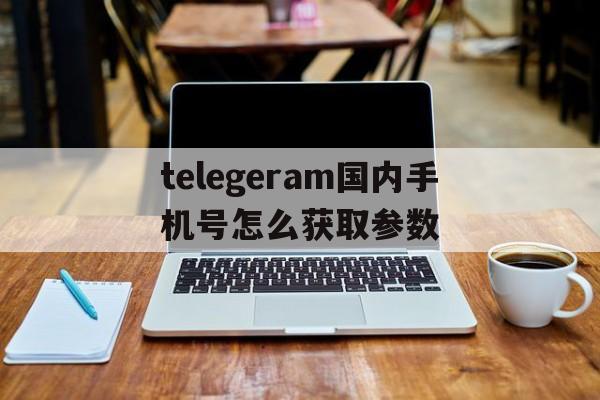 包含telegeram国内手机号怎么获取参数的词条