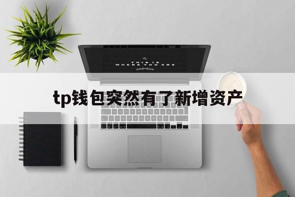 tp钱包突然有了新增资产_tp钱包突然有了新增资产官网版下载