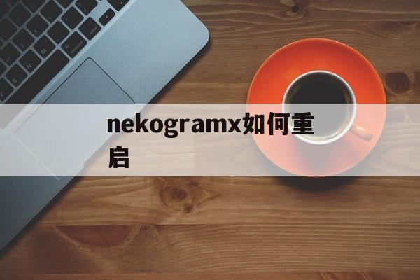 nekogramx如何重启_nekogramx如何重启官网版下载