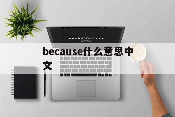 because什么意思中文_because什么意思中文官网版下载