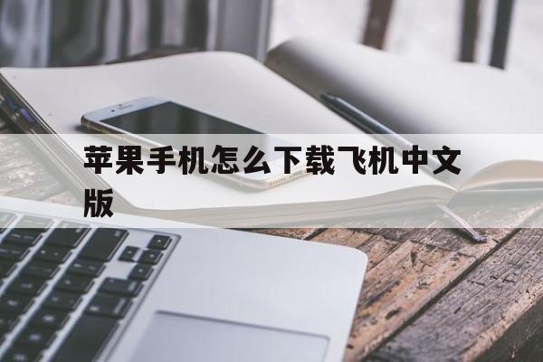 苹果手机怎么下载飞机中文版_苹果手机怎么下载飞机中文版官网版下载