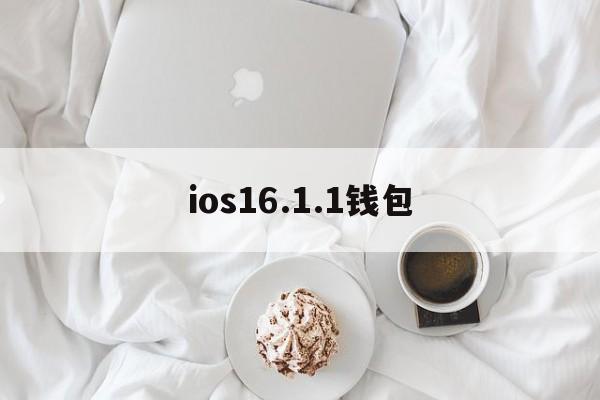 ios16.1.1钱包_ios16.1.1钱包官网版下载