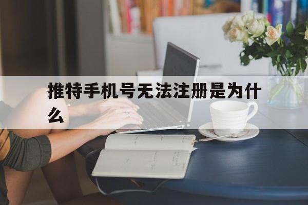 推特手机号无法注册是为什么_推特手机号无法注册是为什么官网版下载