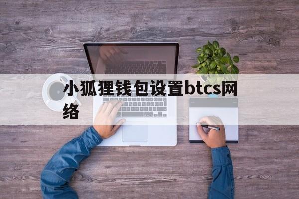 小狐狸钱包设置btcs网络_小狐狸钱包设置btcs网络官网版下载