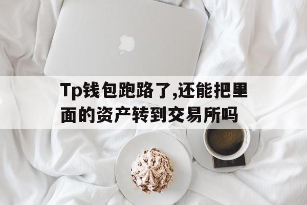 Tp钱包跑路了,还能把里面的资产转到交易所吗的简单介绍