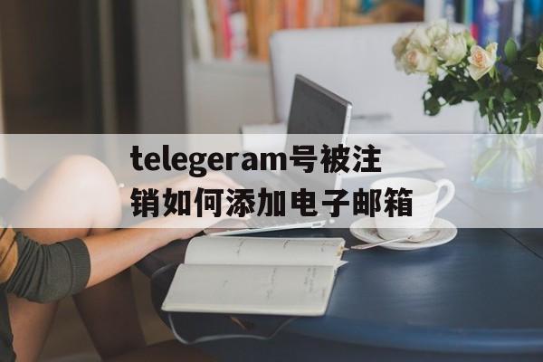 关于telegeram号被注销如何添加电子邮箱的信息