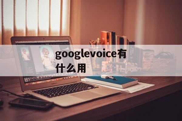 googlevoice有什么用_googlevoice有什么用官网版下载