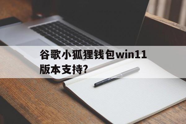 谷歌小狐狸钱包win11版本支持?_谷歌小狐狸钱包win11版本支持?官网版下载