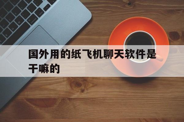 关于国外用的纸飞机聊天软件是干嘛的的信息