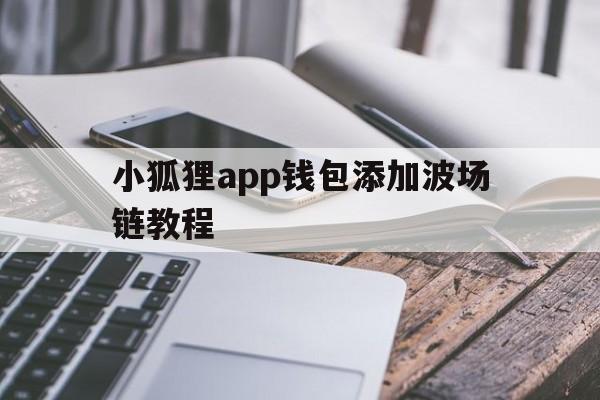 小狐狸app钱包添加波场链教程_小狐狸app钱包添加波场链教程官网版下载