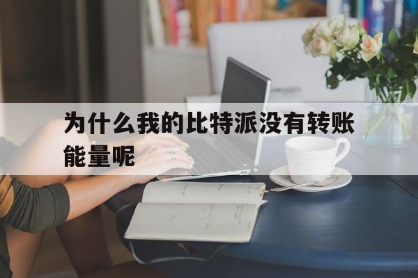 为什么我的比特派没有转账能量呢_为什么我的比特派没有转账能量呢官网版下载