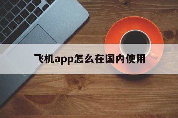 飞机app怎么在国内使用_飞机app怎么在国内使用官网版下载