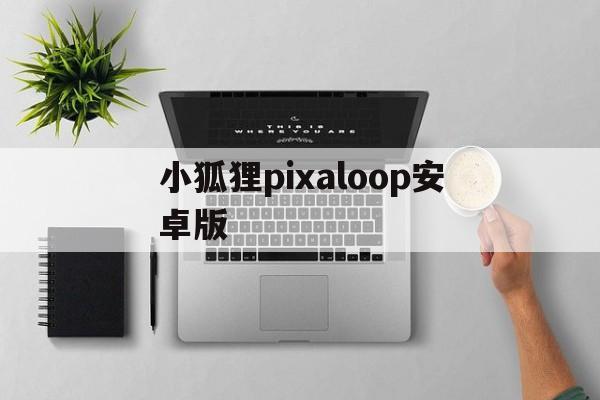 小狐狸pixaloop安卓版_小狐狸pixaloop安卓版官网版下载