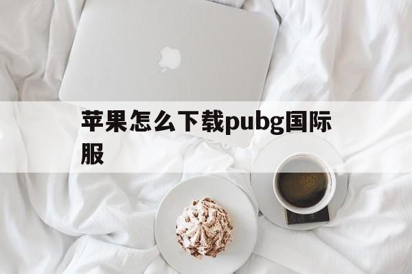 苹果怎么下载pubg国际服_苹果怎么下载pubg国际服26板本的