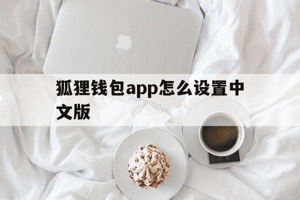 狐狸钱包app怎么设置中文版_狐狸钱包app怎么设置中文版本