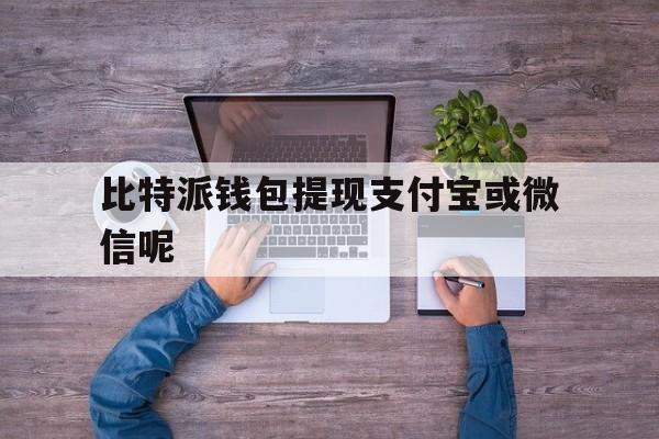 比特派钱包提现支付宝或微信呢_比特派钱包提现支付宝或微信呢是真的吗