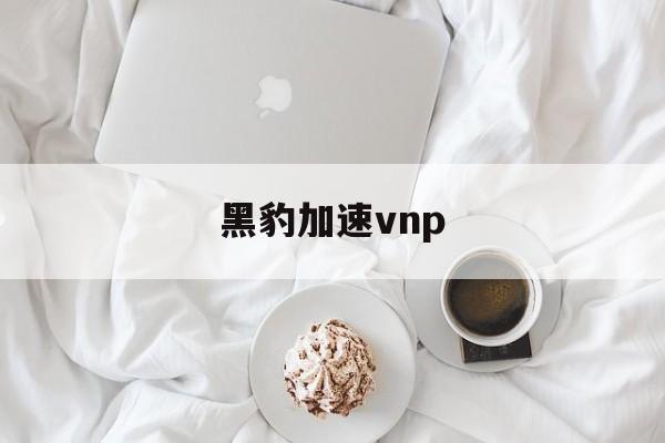 黑豹加速vnp_黑豹加速器官网版最新版下载