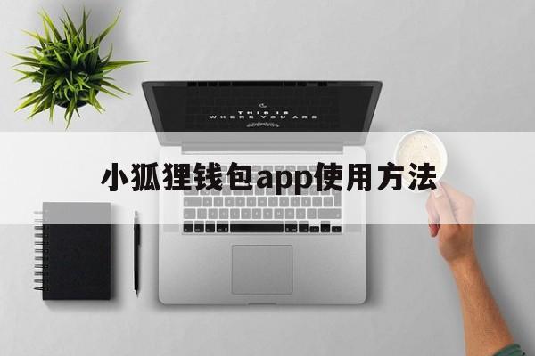 小狐狸钱包app使用方法_小狐狸钱包app使用方法图解