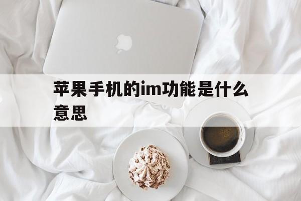 苹果手机的im功能是什么意思_苹果手机imsi是什么意思在哪里