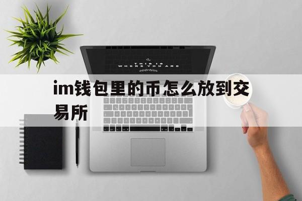 im钱包里的币怎么放到交易所_im钱包怎么用uniswap交易所教程