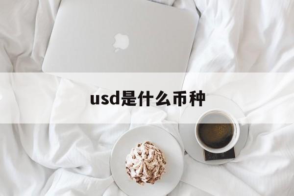 usd是什么币种_usd是什么币的缩写