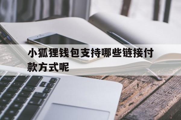 小狐狸钱包支持哪些链接付款方式呢_小狐狸钱包支持哪些链接付款方式呢图片