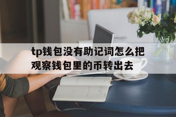 tp钱包没有助记词怎么把观察钱包里的币转出去的简单介绍