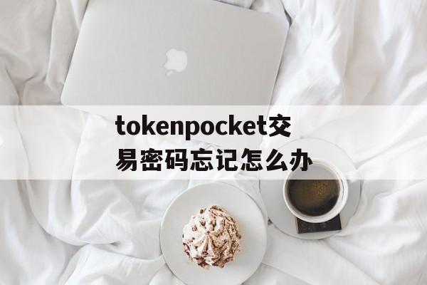 关于tokenpocket交易密码忘记怎么办的信息