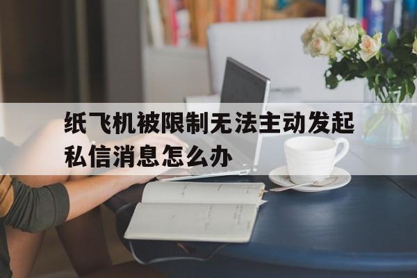 纸飞机被限制无法主动发起私信消息怎么办的简单介绍