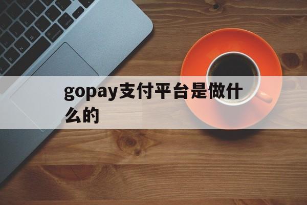 gopay支付平台是做什么的的简单介绍