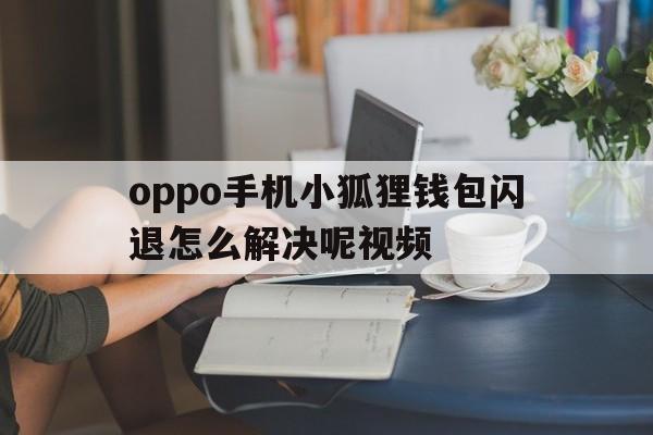 oppo手机小狐狸钱包闪退怎么解决呢视频_oppo手机小狐狸钱包闪退怎么解决呢视频讲解