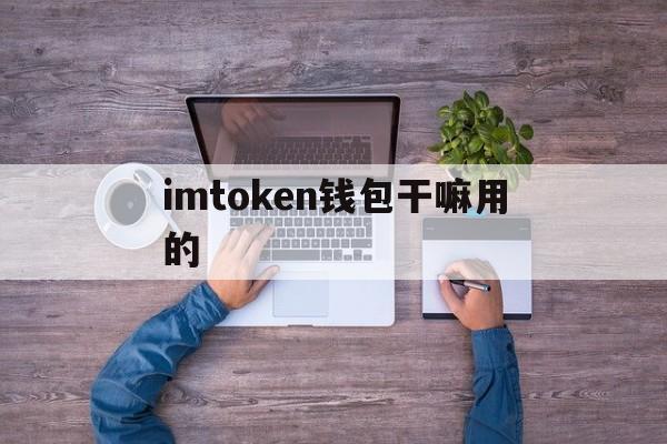 imtoken钱包干嘛用的_imtoken钱包里面的钱都能取出来吗