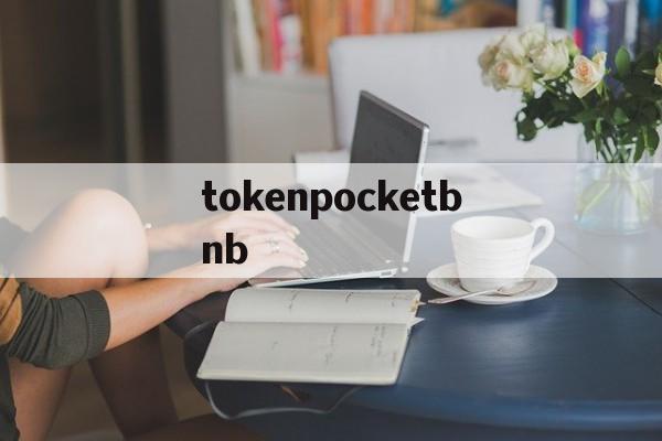 tokenpocketbnb_besidethepoint翻译