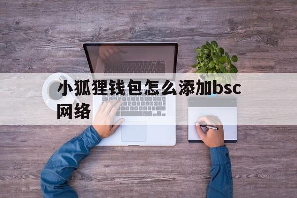 小狐狸钱包怎么添加bsc网络_小狐狸钱包怎么添加bsc网络设备